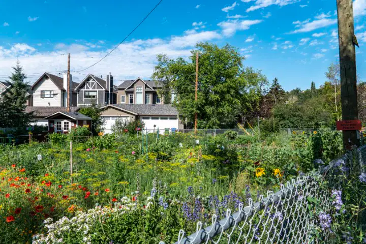 Sunnyside community in Calgary